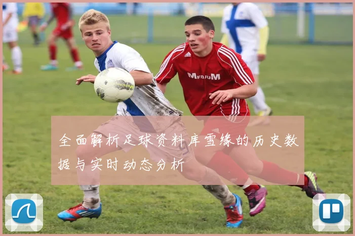 全面解析足球资料库雪缘的历史数据与实时动态分析