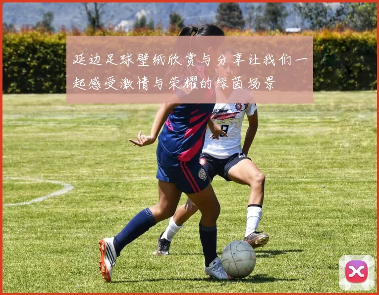 延边足球壁纸欣赏与分享让我们一起感受激情与荣耀的绿茵场景