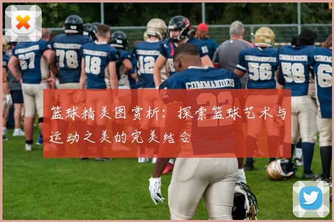 篮球精美图赏析：探索篮球艺术与运动之美的完美结合