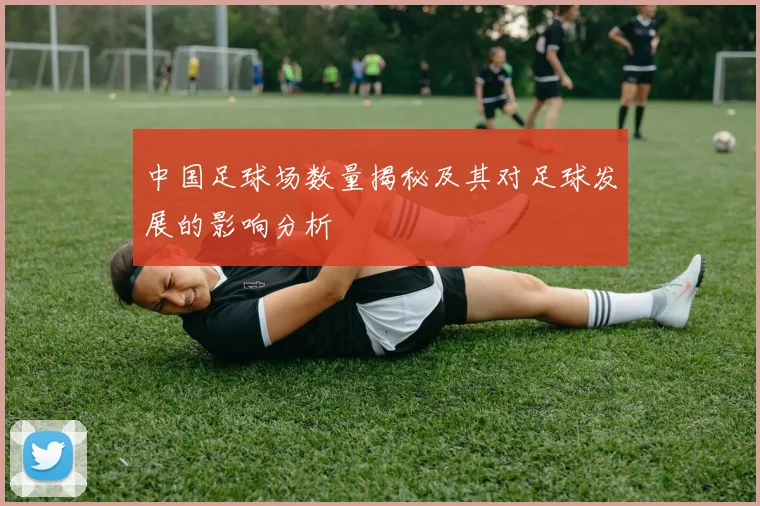 中国足球场数量揭秘及其对足球发展的影响分析