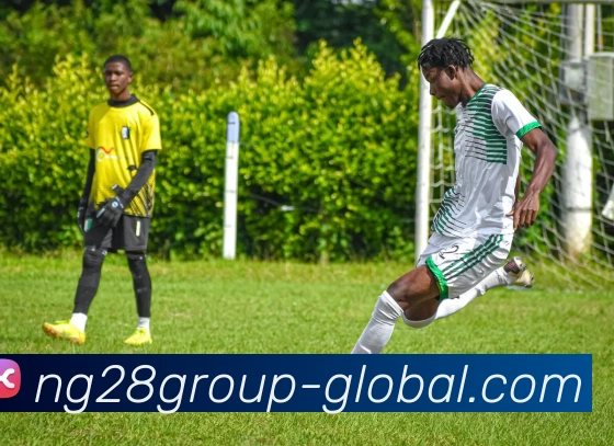 NG28官网平台生态图